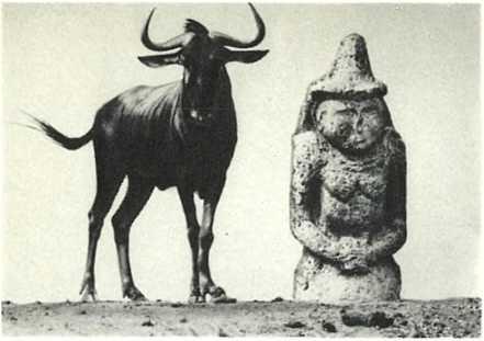 Антилопагну позирует рядом со скифской каменной бабой баба была вырыта из - фото 9