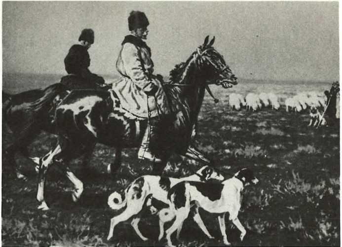 Фридрих ФальцФейн во время осмотра своих заповедных владений Из этого рысенка - фото 14