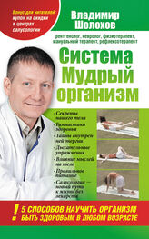 Владимир Шолохов: Система «Мудрый организм». 5 способов научить организм быть здоровым в любом возрасте