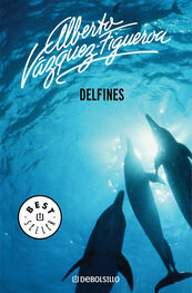 Alberto Vázquez Figueroa: Delfines