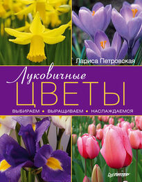 Лариса Петровская: Луковичные цветы: выбираем, выращиваем, наслаждаемся