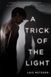 Lois Metzger: A Trick of the Light