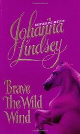 Johanna Lindsey: Brave the Wild Wind