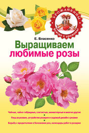 Елена Власенко: Выращиваем любимые розы