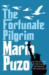 Mario Puzo: The Fortunate Pilgrim