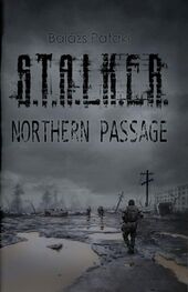 Balázs Pataki: S.T.A.L.K.E.R.: Northern Passage