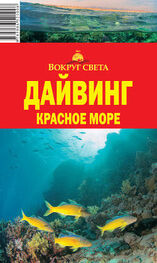 Андрей Рянский: Дайвинг. Красное море