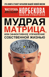 Максим Сумароков: Мудрая матрица, или Эффективное управление собственной жизнью