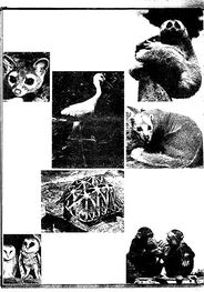 Gerald Durrell: Island Zoo
