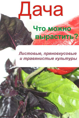 Илья Мельников Что можно вырастить? Листовые, пряновкусовые и травянистые культуры