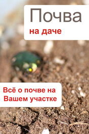 Илья Мельников: Почва на даче. Всё о почве на Вашем участке