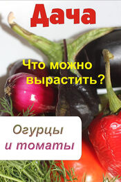 Илья Мельников: Что можно вырастить? Огурцы и томаты