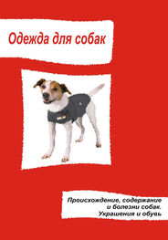 Илья Мельников: Одежда для собак. Происхождение, содержание и болезни собак. Украшения и обувь