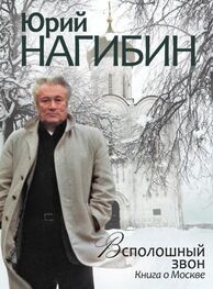 Юрий Нагибин: Всполошный звон. Книга о Москве
