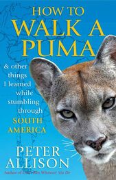 Peter Allison: How to Walk a Puma