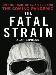 Alan Sipress: The Fatal Strain
