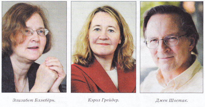 В октябре 2009 года в Стокгольме объявлены имена лауреатов Нобелевской премии - фото 1