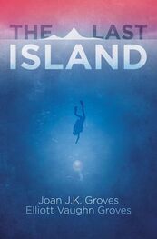 Joan Groves: The Last Island
