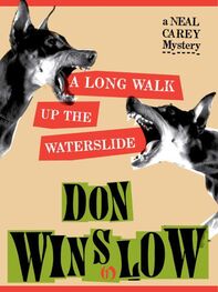 Don Winslow: A Long Walk Up the Waterslide