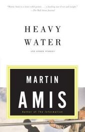 Martin Amis: Heavy Water and Other Stories