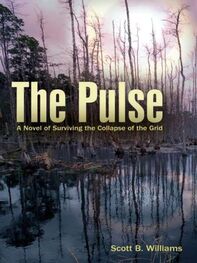Scott Williams: The Pulse