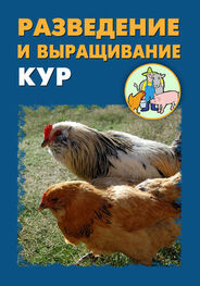 Илья Мельников: Разведение и выращивание кур