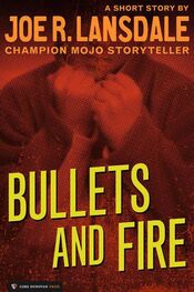Joe Lansdale: Bullets and Fire