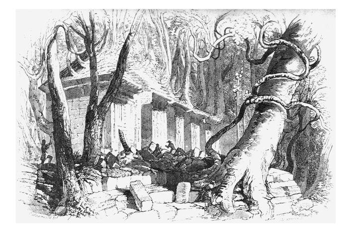 Palenque in 1840 Drawing by Frederick Catherwood Arriving at Palenque - фото 3