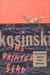 Jerzy Kosiński: The Painted Bird
