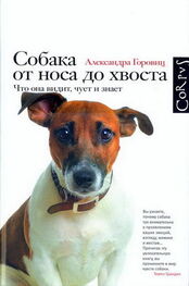 Александра Горовиц: Собака от носа до хвоста. Что она видит, чует и знает