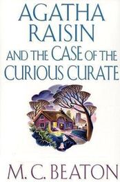 M.C. Beaton: The Case of the Curious Curate