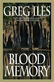 Greg Iles: Blood Memory
