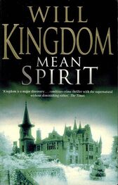 Will Kingdom: Mean Spirit