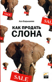 Ася Барышева: Как продать слона или 51 прием заключеня сделки