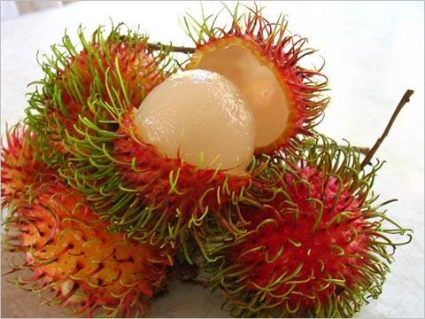 Жители Азии утверждают что если съесть хотя бы один плод этого дерева то - фото 4