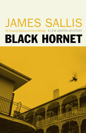 James Sallis: Black Hornet