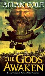 Allan Cole: The Gods Awaken