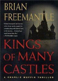 Brian Freemantle: Kings of Many Castles