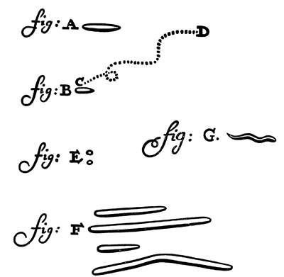 Зарисовки бактерий выполненные Левенгуком В 1700 году Левенгук обнаружил в - фото 1
