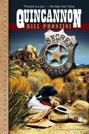 Bill Pronzini: Quincannon