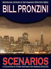 Bill Pronzini: Scenarios