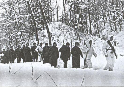 Десантники и партизаны совершают рейд по тылам немецких войск Группа Белова - фото 29