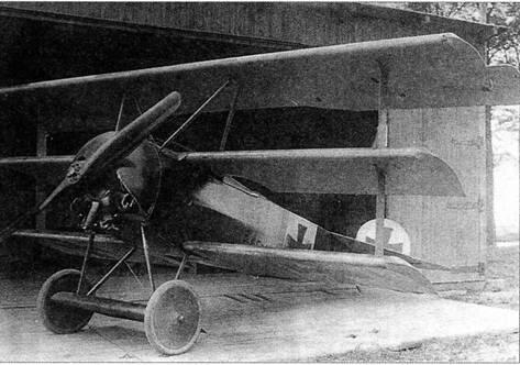 Фоккер FI F10217 августсентябрь 1917 г Братья фон Рихтгофен перед - фото 18