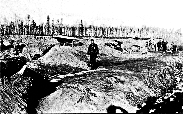 Железнодорожная насыпь под Малуксой рядом с Погостье где 54я советская армия - фото 26
