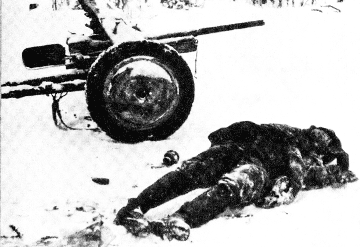 Убитый немецкий артиллерист у противотанковой пушки Декабрь 1941 г - фото 52