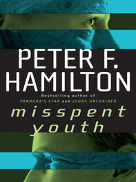Peter Hamilton: Misspent Youth