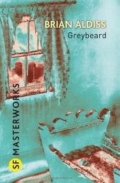 Brian Aldiss: Greybeard