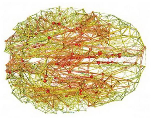 Рисунок 3 Структура связей мозга человека По материалам университета Индианы - фото 4