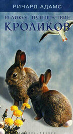 Ричард Адамс: Великое путешествие кроликов