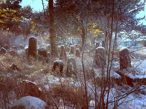 Еврейское кладбище поселок Свирь Минской области Беларусь Генадий Борщ - фото 194